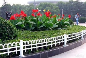 广西绿化护栏